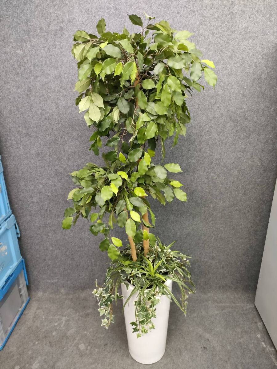 人工観葉植物 フェイクツリー 植物 白植木鉢拍卖