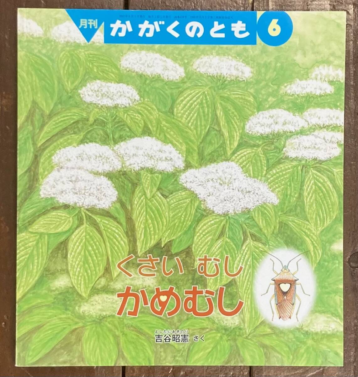 【即決】くさいむし かめむし/吉谷昭憲/かがくのとも 459号/2007年/福音館書店/絵本/科学/ペーパーバック/ カメムシ /生態/幼虫拍卖