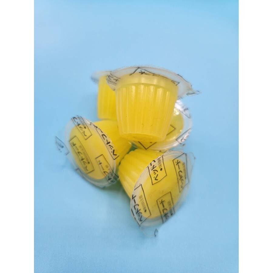 【送料無料】【昆虫エサ用】ガットローディングゼリー 16g 10個拍卖