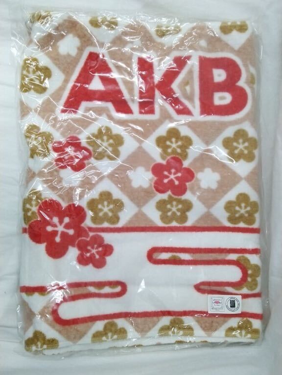 AKB48 ブランケット 2015年拍卖