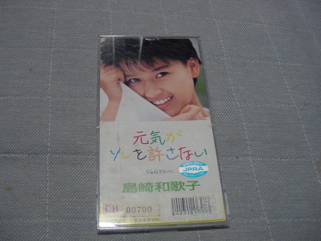 CDS「元気がソレを許さない 島崎和歌子」タレント/拍卖