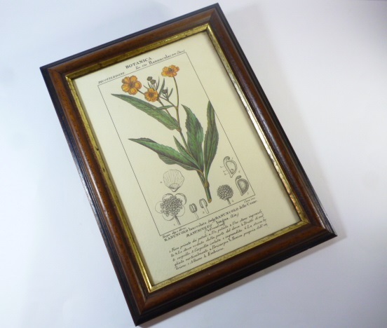 Й イタリア製 壁掛け 壁飾り Й ITARY 植物 絵 画 額 飾り フレーム拍卖