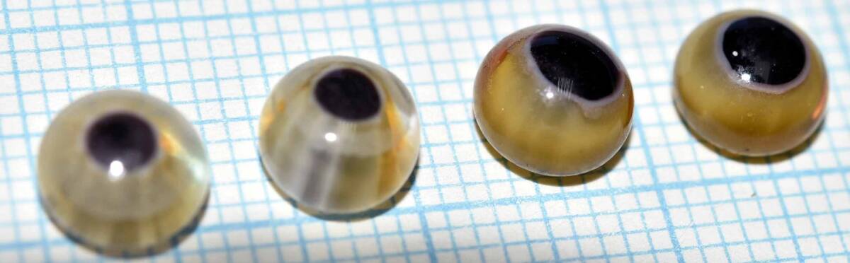 ルアーメイキング ハンドメイド  グラスアイ hand made glass eyes for lure making (11598-489)本格的 ルアービルダー用 日本製拍卖