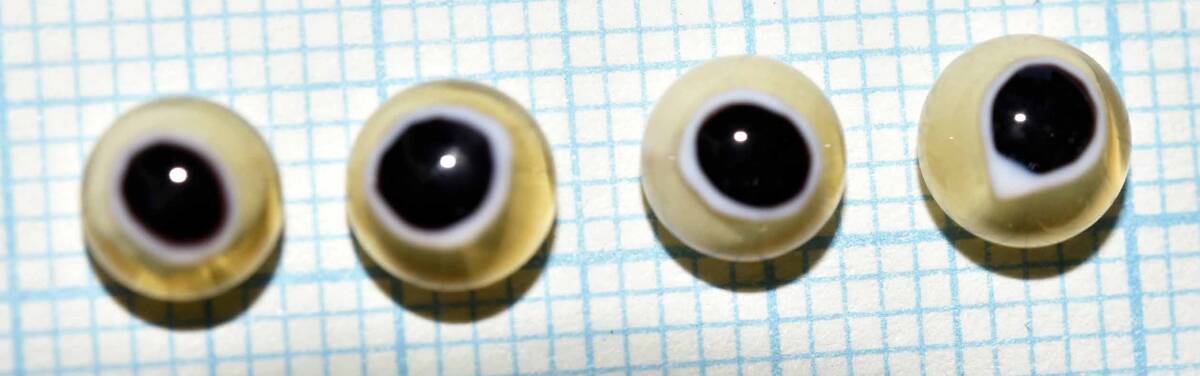 ルアーメイキング ハンドメイド  グラスアイ hand made glass eyes for lure making (11583-489)本格的 ルアービルダー用 日本製拍卖