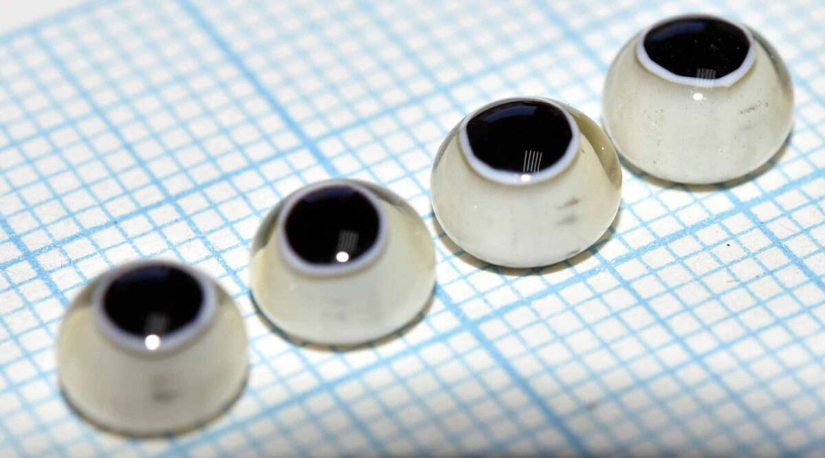 ルアーメイキング ハンドメイド  グラスアイ hand made glass eyes for lure making (11580-489)本格的 ルアービルダー用 日本製拍卖