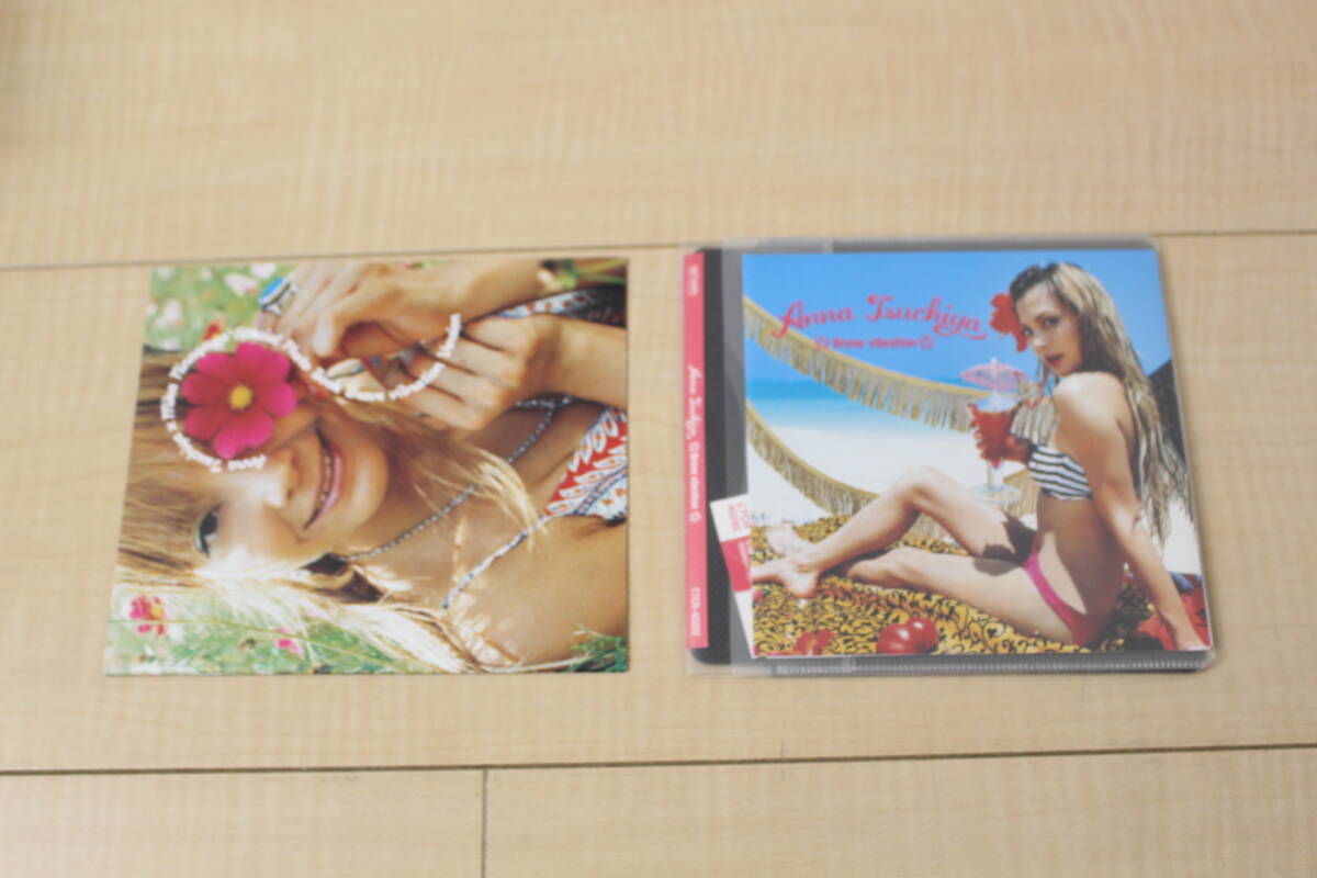 土屋アンナ / Brave vibration CD 元ケース無し メディアパス収納拍卖