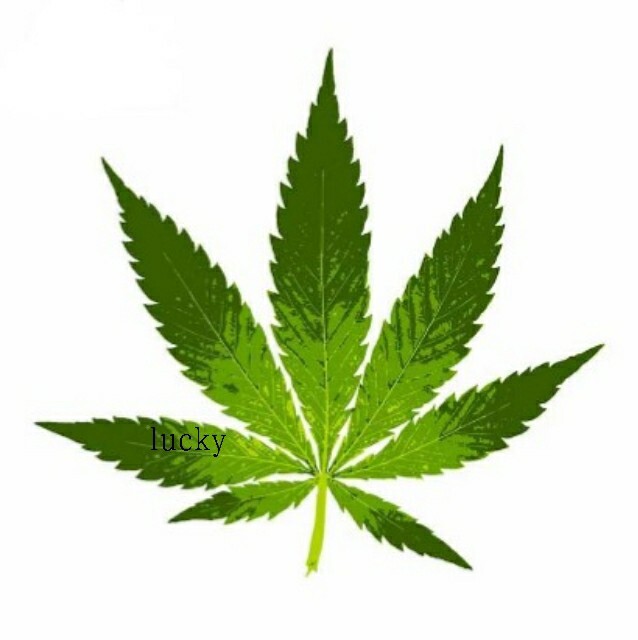 転写 ステッカー 車 カッティングステッカー シール シート デカール 麻 植物 葉 リーフ バイク 装飾 luk69拍卖