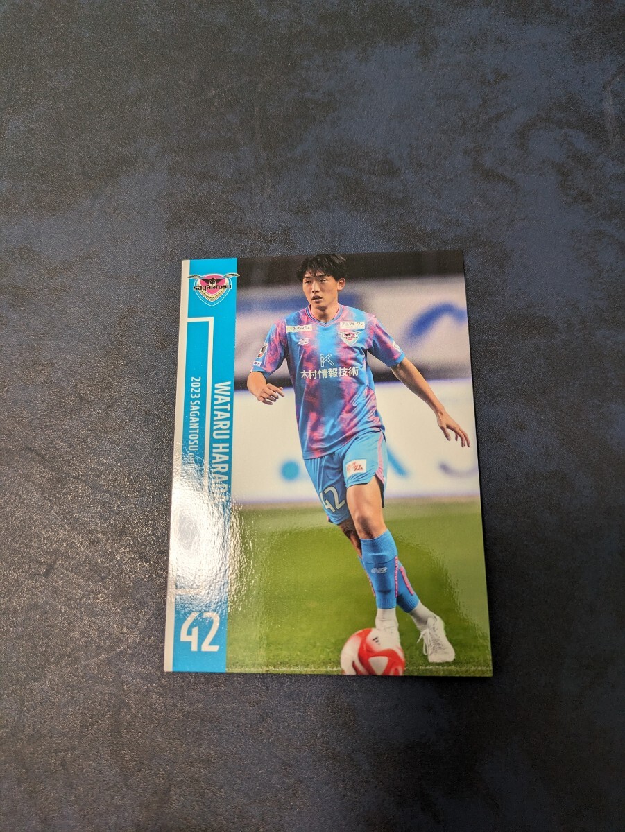 2023 サガン鳥栖 オフィシャルトレーディングカード 原田亘 ST33拍卖