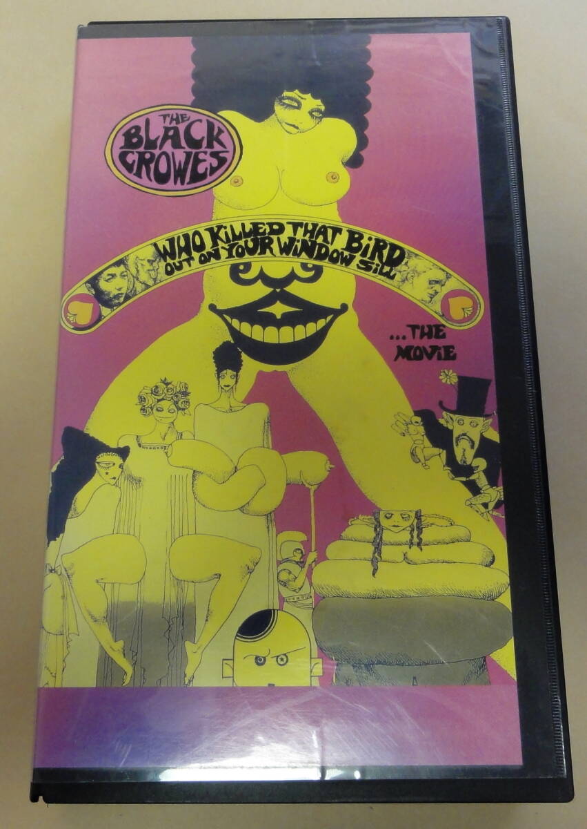 The Black Crowes / サザン・ハーモニー・ドキュメンタリー VHSビデオ ブラッククロウズ Who Killed That Bird Out On Your Window Sill拍卖
