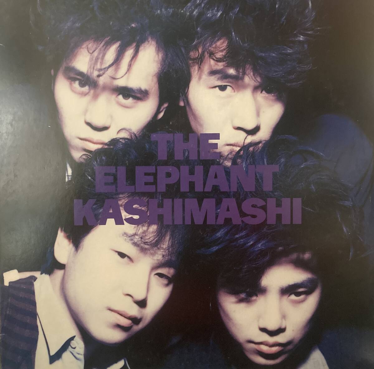 アナログ末期極少流通稀少 滅多に出品されないLP ◇エレファントカシマシ1st ◇ The Elephant Kashimashi 宮本浩次 レコードデーデ花男収録拍卖