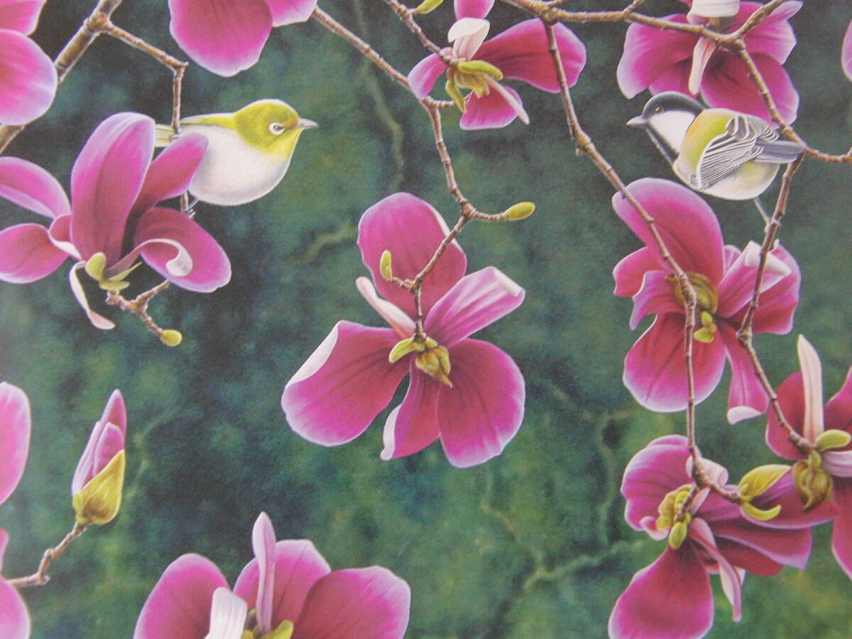 山地司、「紫色の木蓮-1」、希少画集・額装画、日本製・新品額縁にて額装致します、状態良好拍卖