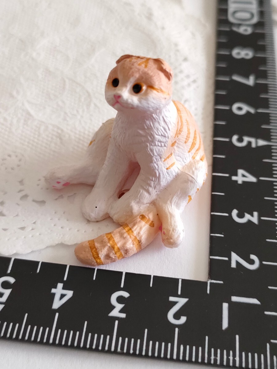 4r0416 ドール用 猫 ねこ 仔猫 座る スコティッシュ ミニチュア ジェニー momoko バービー リカちゃん ブライス ピュアニーモ 1/6ドール拍卖