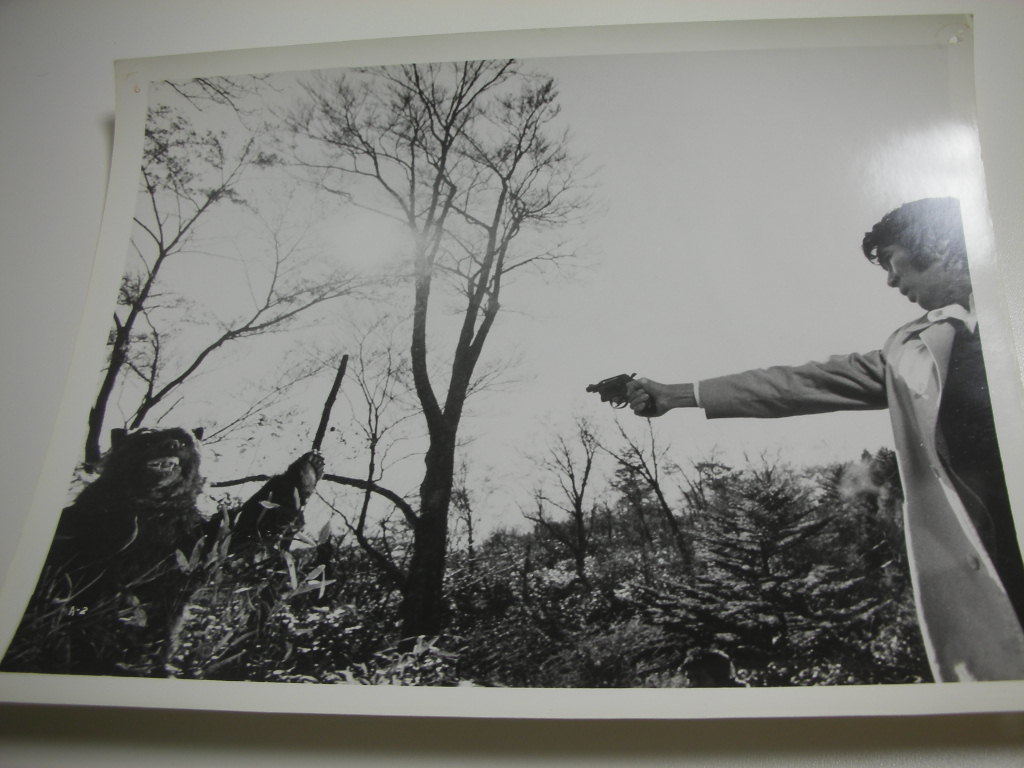 81276高倉健原田芳雄伊佐山ひろ子『君よ憤怒の河を渉れ』大判拍卖