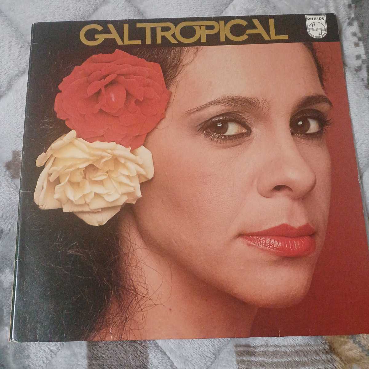 Brazil Orig.盤WジャケLP★ガル・コスタ /Gal Costa★ 1979年『ガル・トロピカル / Gal Tropical』Antonio Carlos Jobim/ Caetano Veloso 拍卖