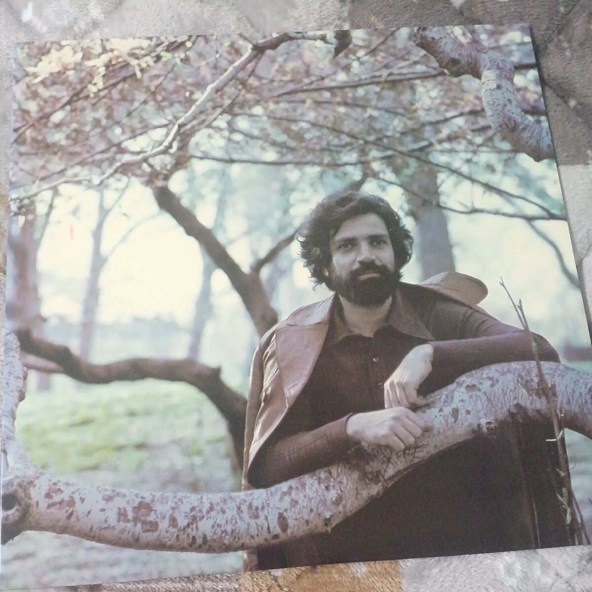 国内盤LP★ フェリックス・キャバリエ / Felix Cavaliere★1975年2nd『デスティニー/Destiny』(Bearsville) The Rascals/ 全10曲収録拍卖