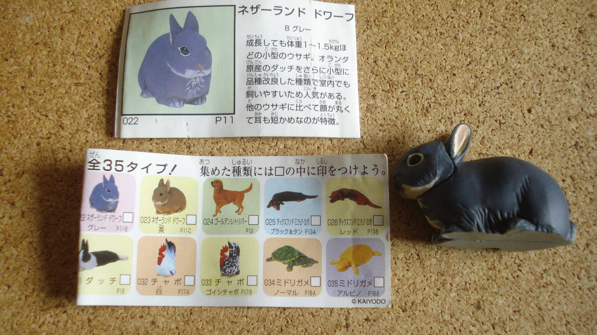 チョコエッグ ペット動物コレクション第1弾「021 ネザーランドドワーフ(グレー P11ーB)」ウサギ・うさぎ拍卖