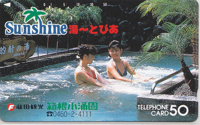 箱根小涌園 /温泉 女性入浴【テレカ】F. 11.21 ★送料最安60円~拍卖