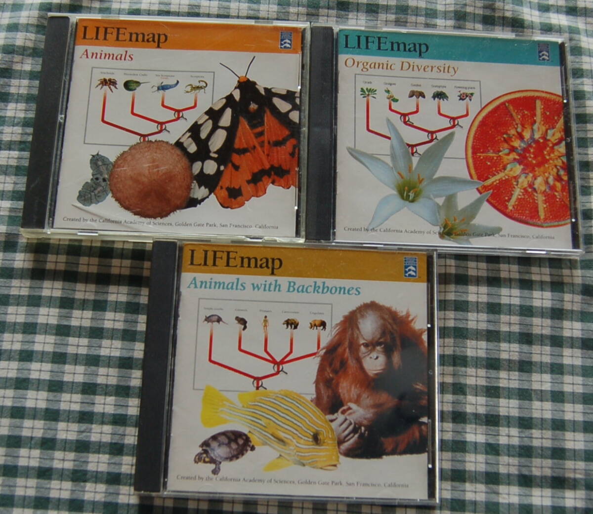 【送料無料】1990年代 Mac CD-ROM 生物学【LIFE map】3枚まとめて中古美品拍卖