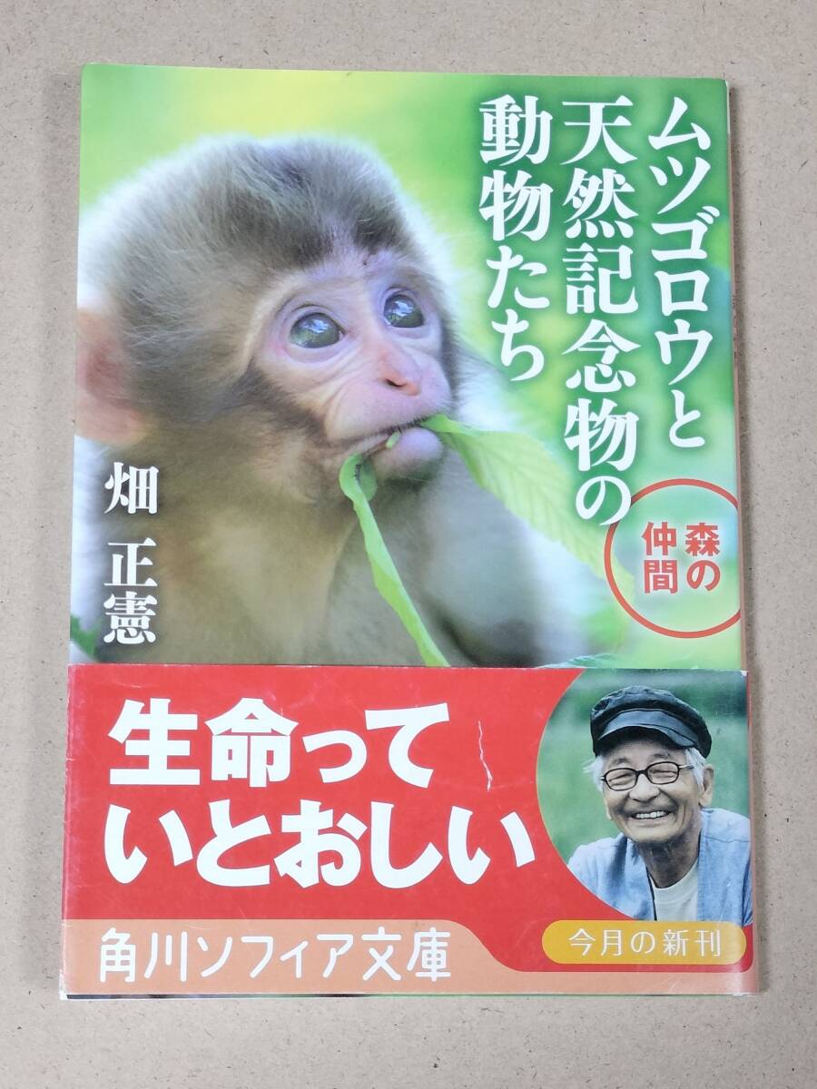 初版本 ムツゴロウと天然記念物の動物たち 森の仲間 (角川ソフィア文庫)  畑 正憲 (著)拍卖