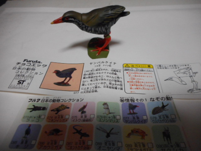 チョコエッグ 日本の動物☆第3弾☆ヤンバルクイナ☆77☆本体のみ拍卖