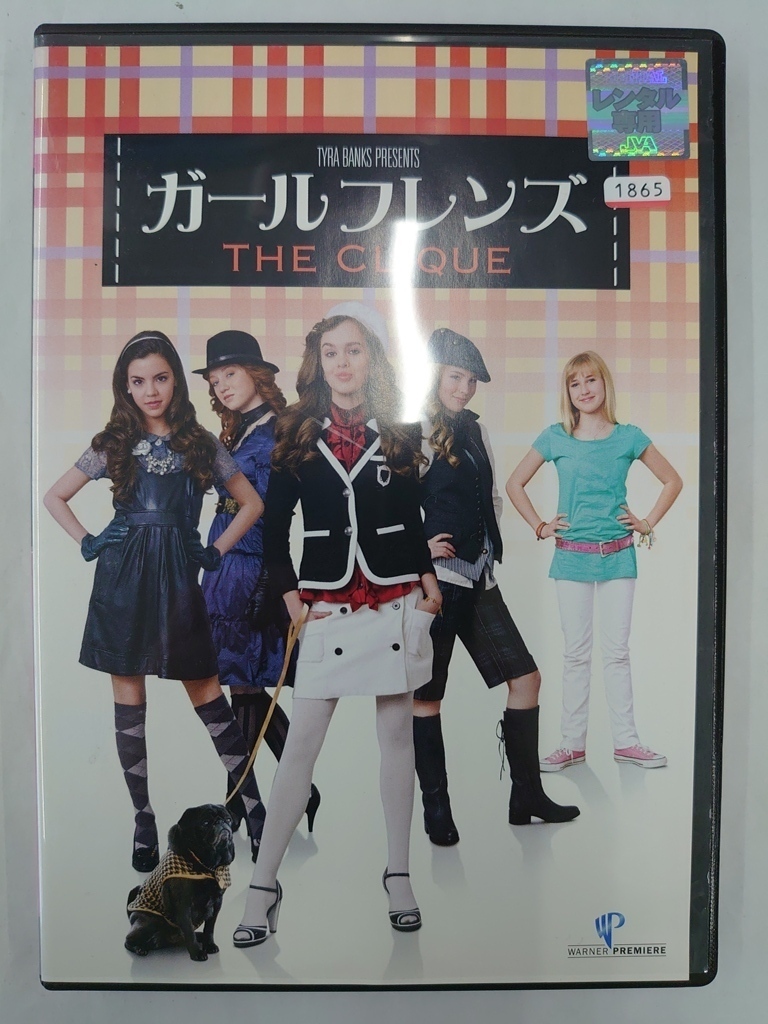 vdw14793 ガールフレンズ 特別版/DVD/レン落/送料無料拍卖