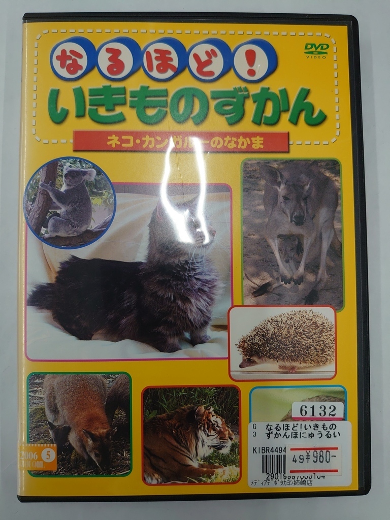 vdw15365 なるほど!いきものずかん ネコ・カンガルーのなかま/DVD/レン落/送料無料拍卖