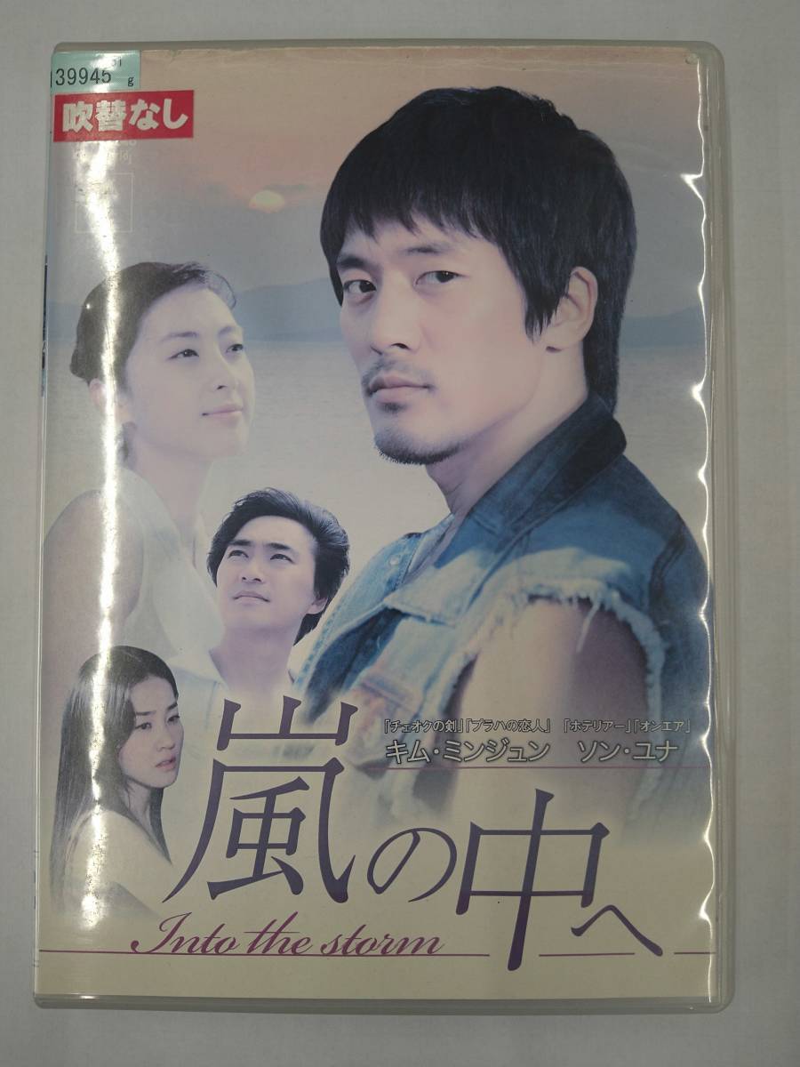 vdw14121 嵐の中へ Vol.1/DVD/レン落/送料無料拍卖