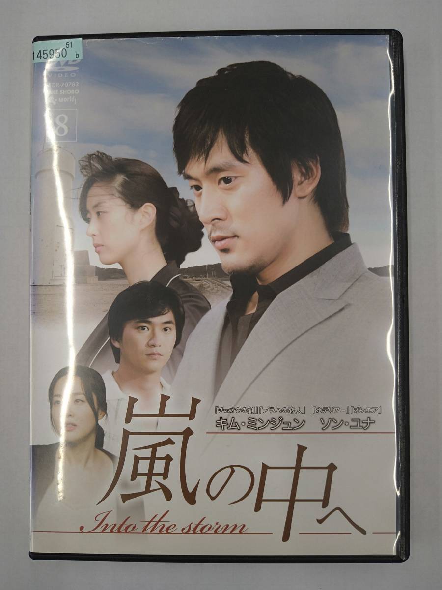 vdw14124 嵐の中へ Vol.8/DVD/レン落/送料無料拍卖