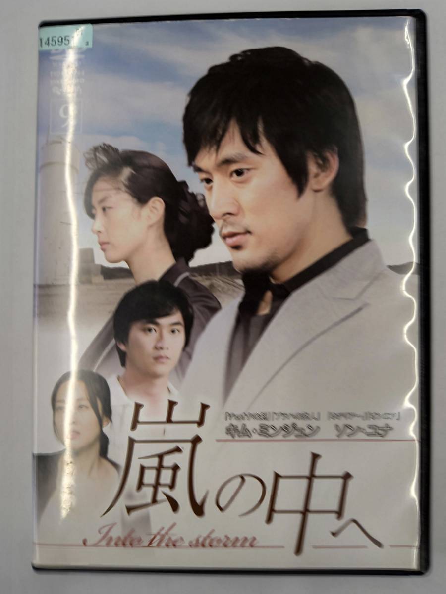 vdw14125 嵐の中へ Vol.9/DVD/レン落/送料無料拍卖