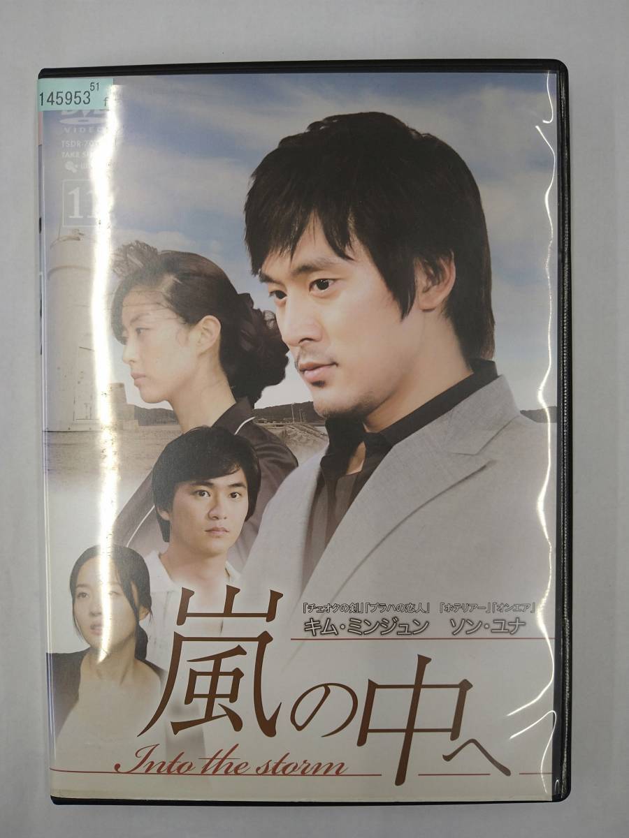 vdw14142 嵐の中へ Vol.11/DVD/レン落/送料無料拍卖