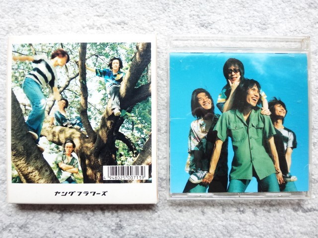 D【 ヤングフラワーズ / フラワーカンパニーズ 】スリーブケース入り CDは4枚まで送料198円拍卖