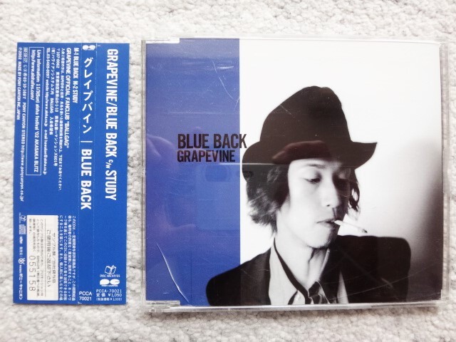 D【 GRAPEVINE / BLUE BACK 】 CDは4枚まで送料198円拍卖