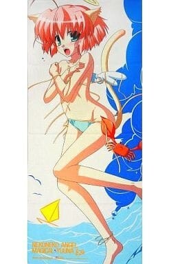 ねこねこ天使ゆうな えふメロらじお いたずらなかにさん マイクロファイバー タオル 未開封新品 デジ バス スポーツ C75 minori 約40x90cm拍卖