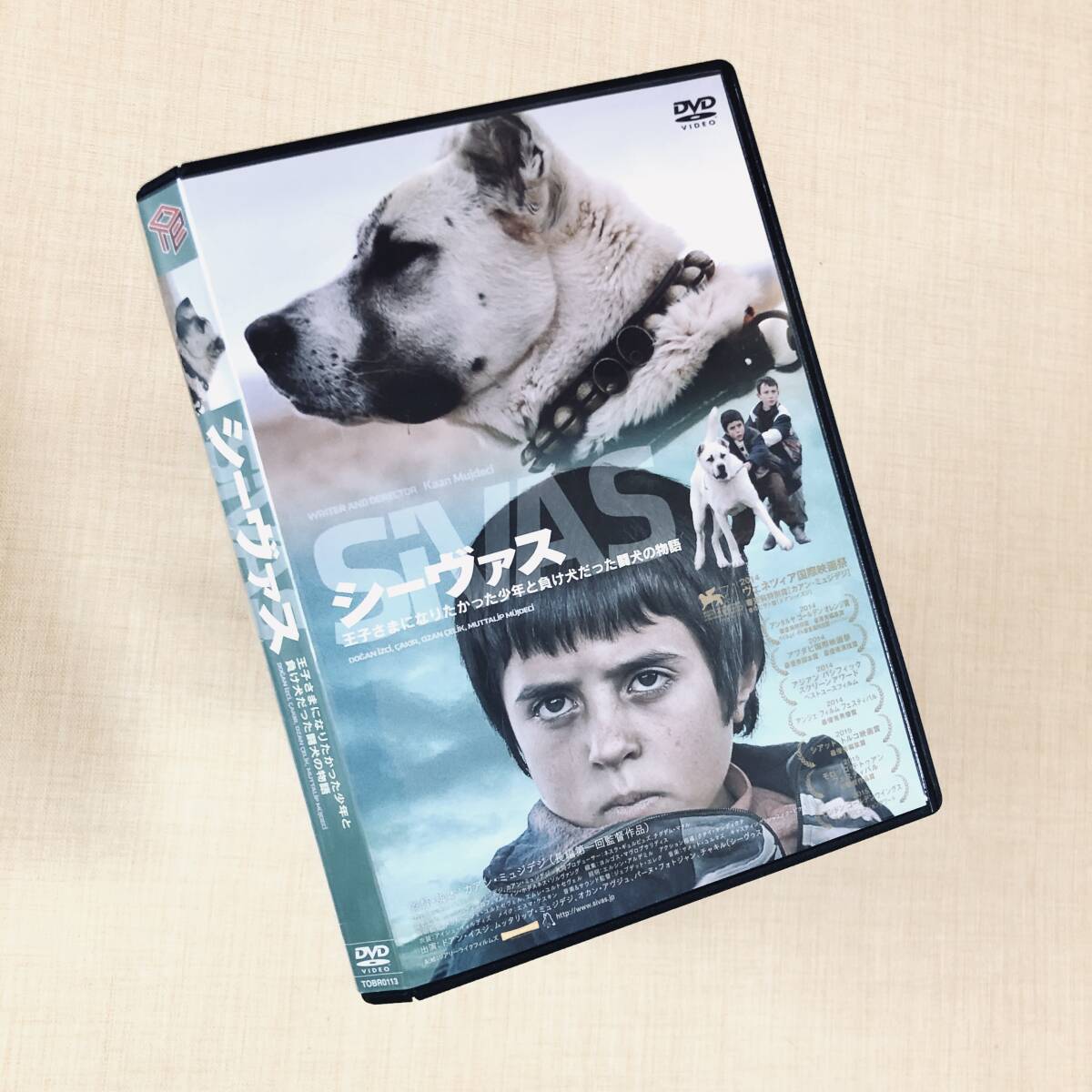 シーヴァス DVDレンタル落ち拍卖