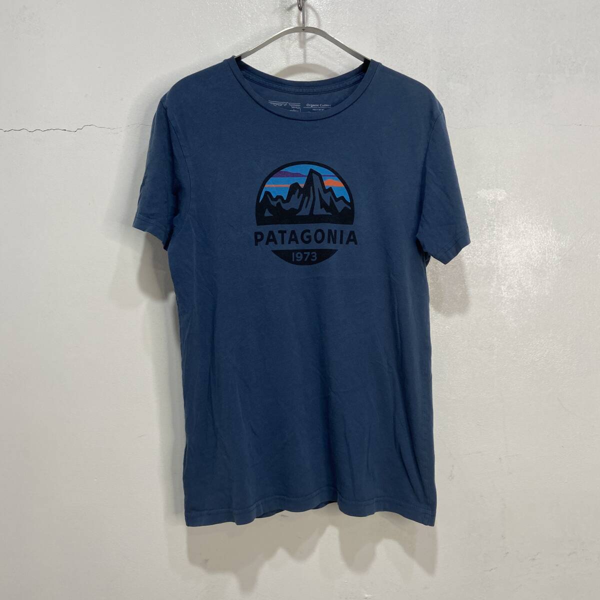 ☆送料無料☆Patagonia☆USA製☆フィッツロイ スコープ☆オーガニックコットンTシャツ☆S☆スリムフィット☆D24M拍卖