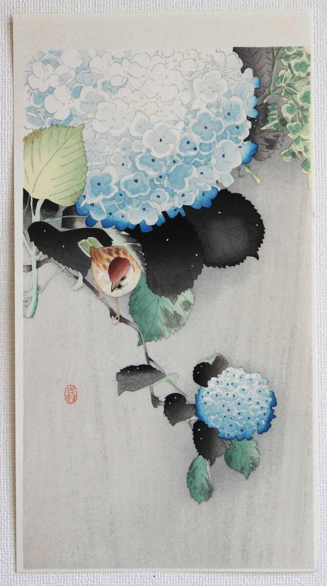 真作保証 小原古邨 木版画 紫陽花に雀Sparrow on Hydrangeaよみがえる明治末から昭和にかけて活躍した花鳥画の天才絵師の失われた代表作品!拍卖