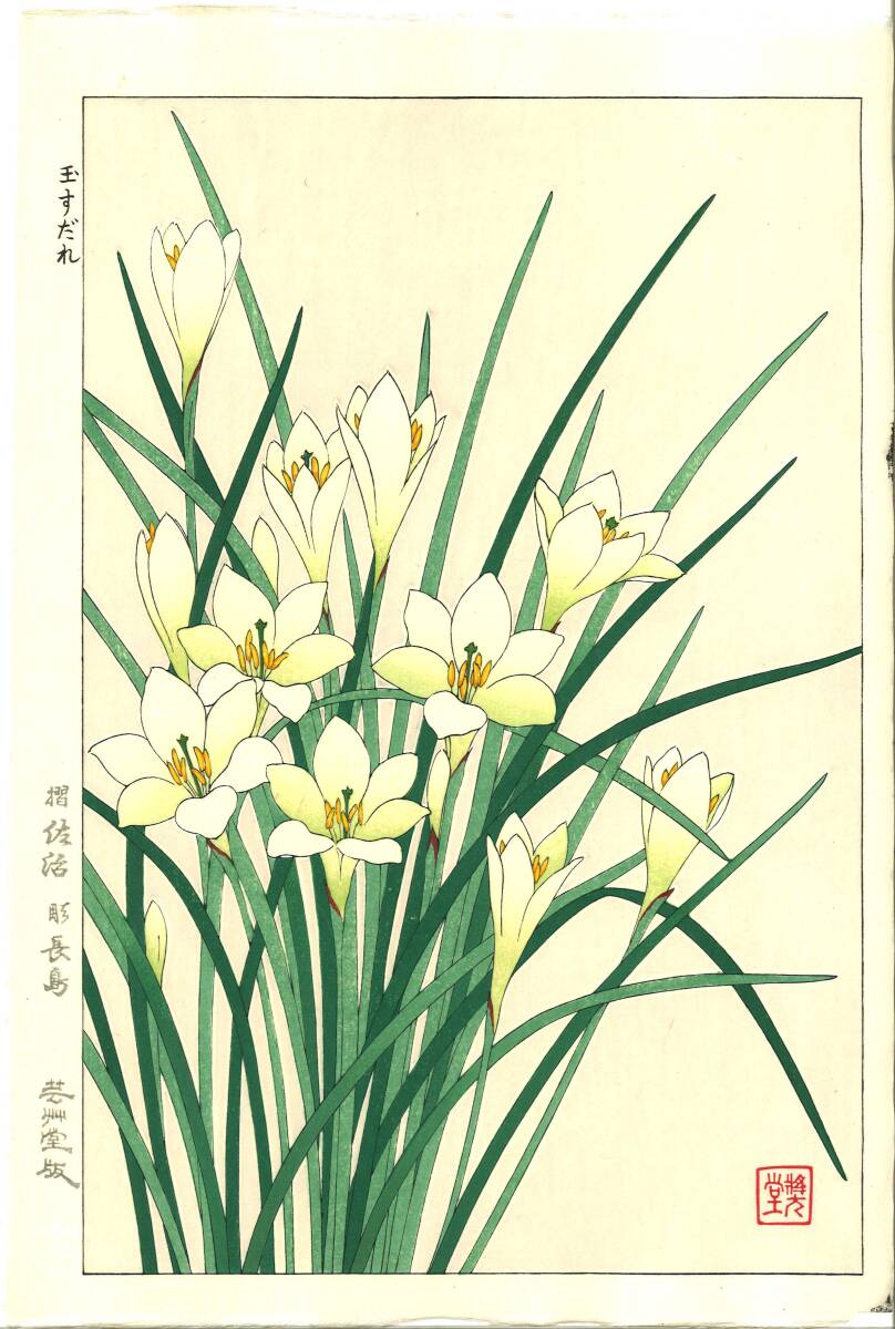 真作保証 河原崎奨堂 木版画 #118 玉すだれ Zepher lily 花版画 初版昭和中期~ 京都らしい花版画の美をご自宅でお楽しみください。拍卖