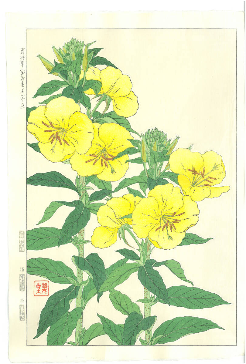真作保証 河原崎奨堂 木版画 #133 宵待草 Evening primrose 花版画 初版昭和中期~ 京都らしい花版画の美をご自宅でお楽しみください。拍卖