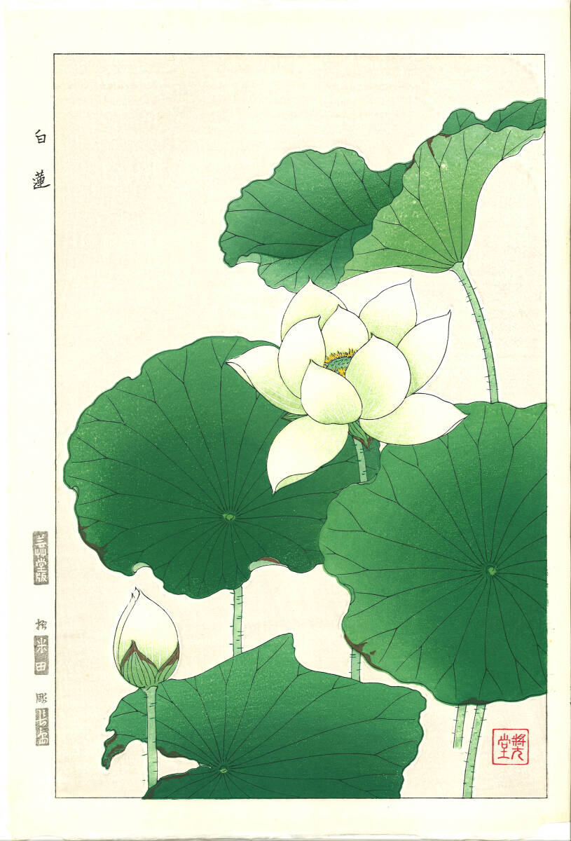 真作保証 河原崎奨堂 木版画 #58 白蓮 Lotus 花版画 初版昭和中期~ 京都らしい花版画の美をご自宅でお楽しみください。拍卖