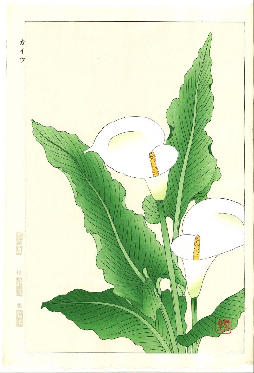 真作保証 河原崎奨堂 木版画 #138 カイウ Calla lily 花版画 初版昭和中期~ 京都らしい花版画の美をご自宅でお楽しみください。拍卖