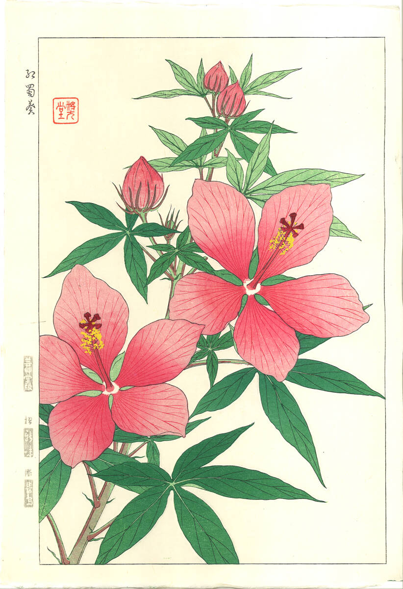 真作保証 河原崎奨堂 木版画 #84 ハイビスカス Hibiscus 花版画 初版昭和中期~ 京都らしい花版画の美をご自宅でお楽しみください。拍卖