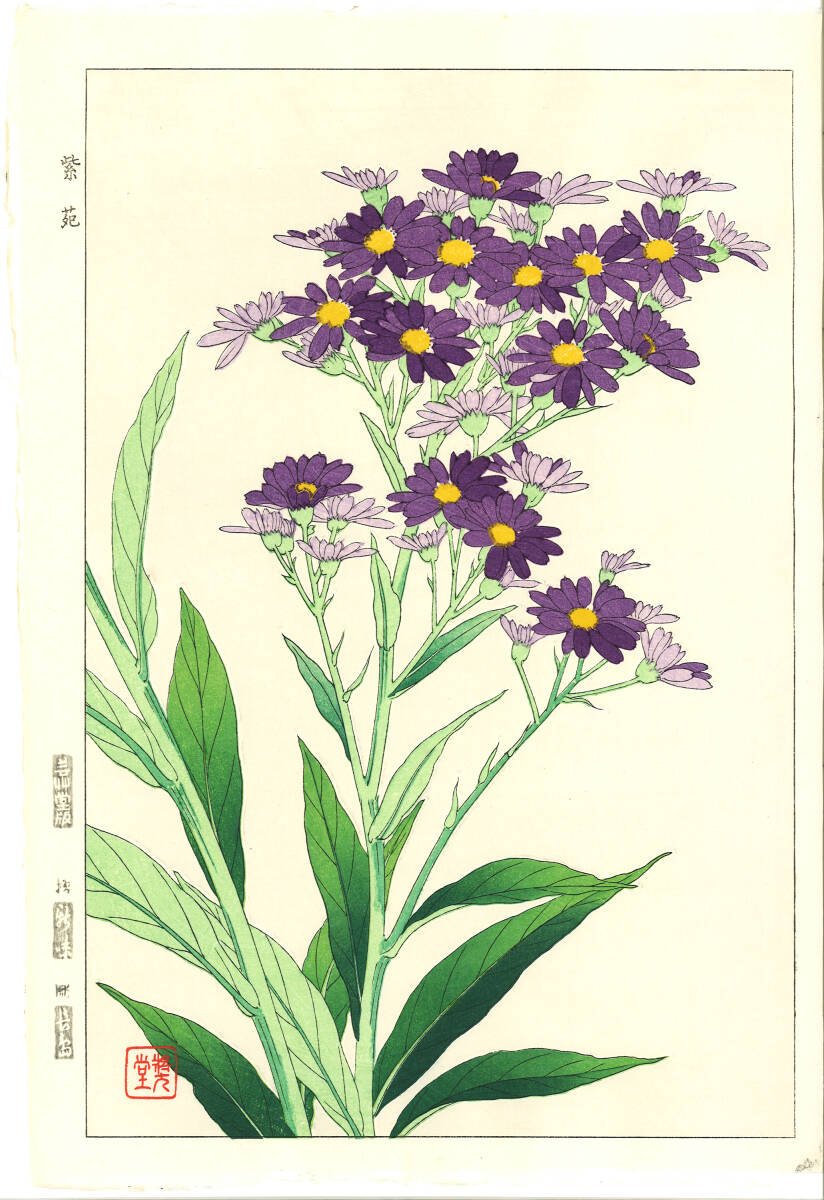真作保証 河原崎奨堂 木版画 #39 シオン Michaelmas daisy 花版画 初版昭和中期~ 京都らしい花版画の美をご自宅でお楽しみください。拍卖