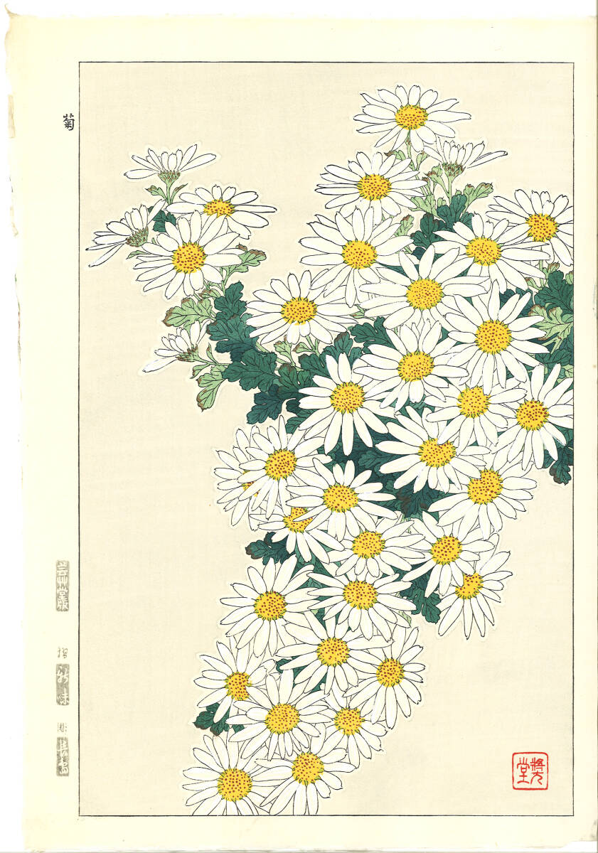 真作保証 河原崎奨堂 木版画 #37 菊 Chrysanthemum 花版画 初版昭和中期~ 京都らしい花版画の美をご自宅でお楽しみください。拍卖