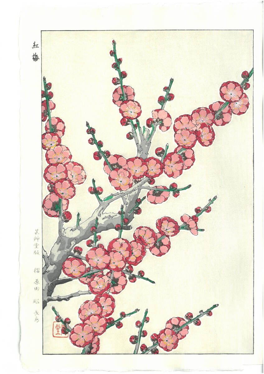 真作保証 河原崎奨堂 木版画 #22 紅梅 Plum 花版画 初版昭和中期~ 京都らしい花版画の美をご自宅でお楽しみください。拍卖