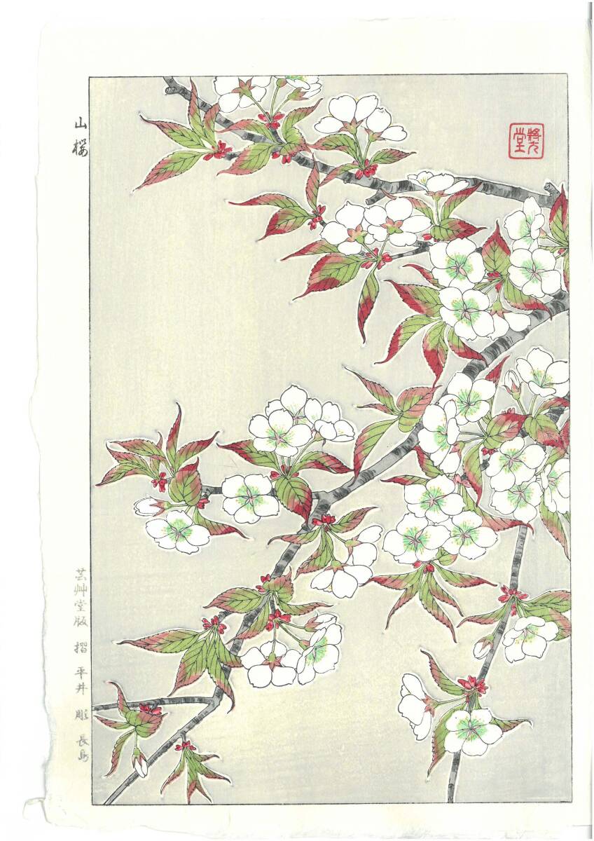 真作保証 河原崎奨堂 木版画 #17 山桜 Wild cherry 花版画 初版昭和中期~ 京都らしい花版画の美をご自宅でお楽しみください。拍卖