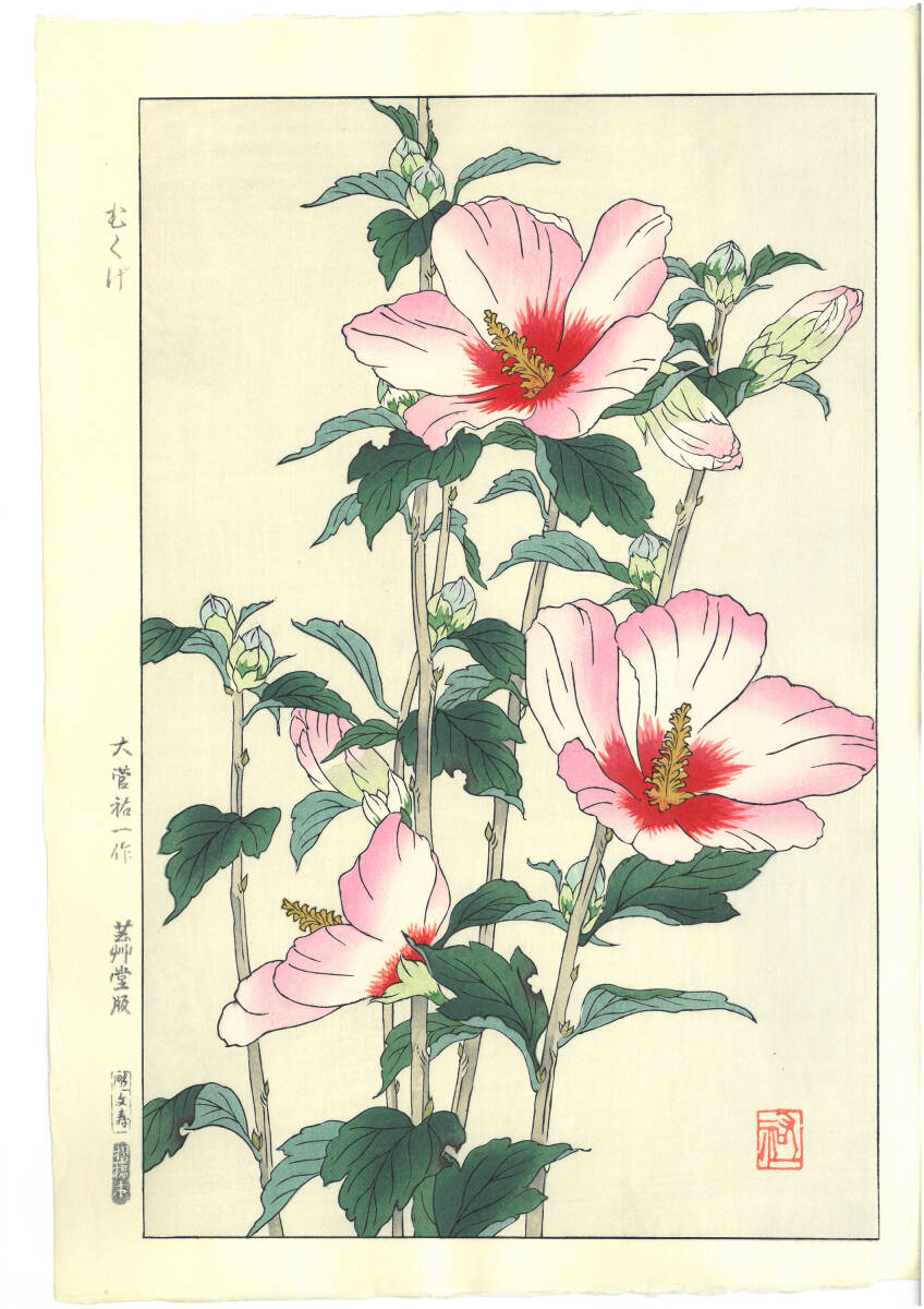 真作保証 大菅祐一 木版画 むくげ 初版 昭和中期~ 京都らしい花版画の美をご自宅でお楽しみください。拍卖