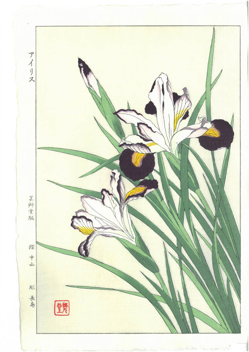 真作保証 河原崎奨堂 木版画 #4 アイリス Iris 花版画 初版昭和中期~ 京都らしい花版画の美をご自宅でお楽しみください。拍卖