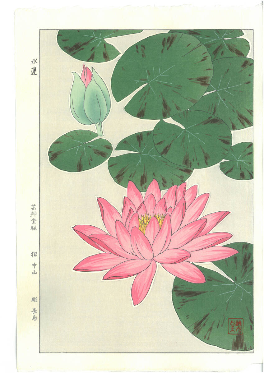 真作保証 河原崎奨堂 木版画 #57 スイレン(赤)Water lily 花版画 初版昭和中期~ 京都らしい花版画の美をご自宅でお楽しみください。拍卖