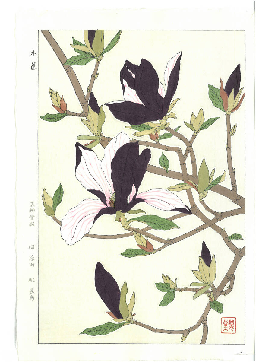 真作保証 河原崎奨堂 木版画 #77 木蓮 Magnolia 花版画 初版昭和中期~ 京都らしい花版画の美をご自宅でお楽しみください。拍卖