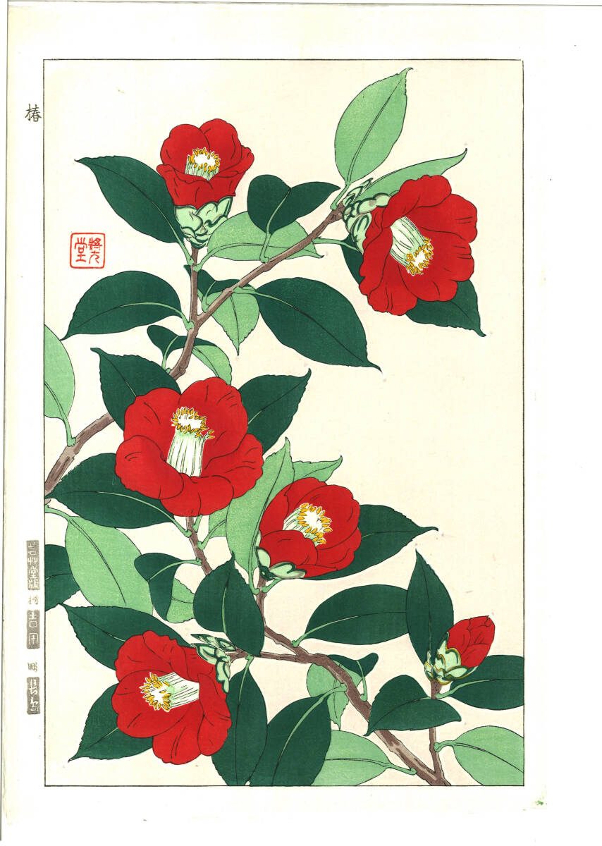真作保証 河原崎奨堂 木版画 #48 椿 Camellia 花版画 初版昭和中期~ 京都らしい花版画の美をご自宅でお楽しみください。拍卖